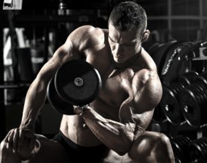 T2R 2-Week Body Shred